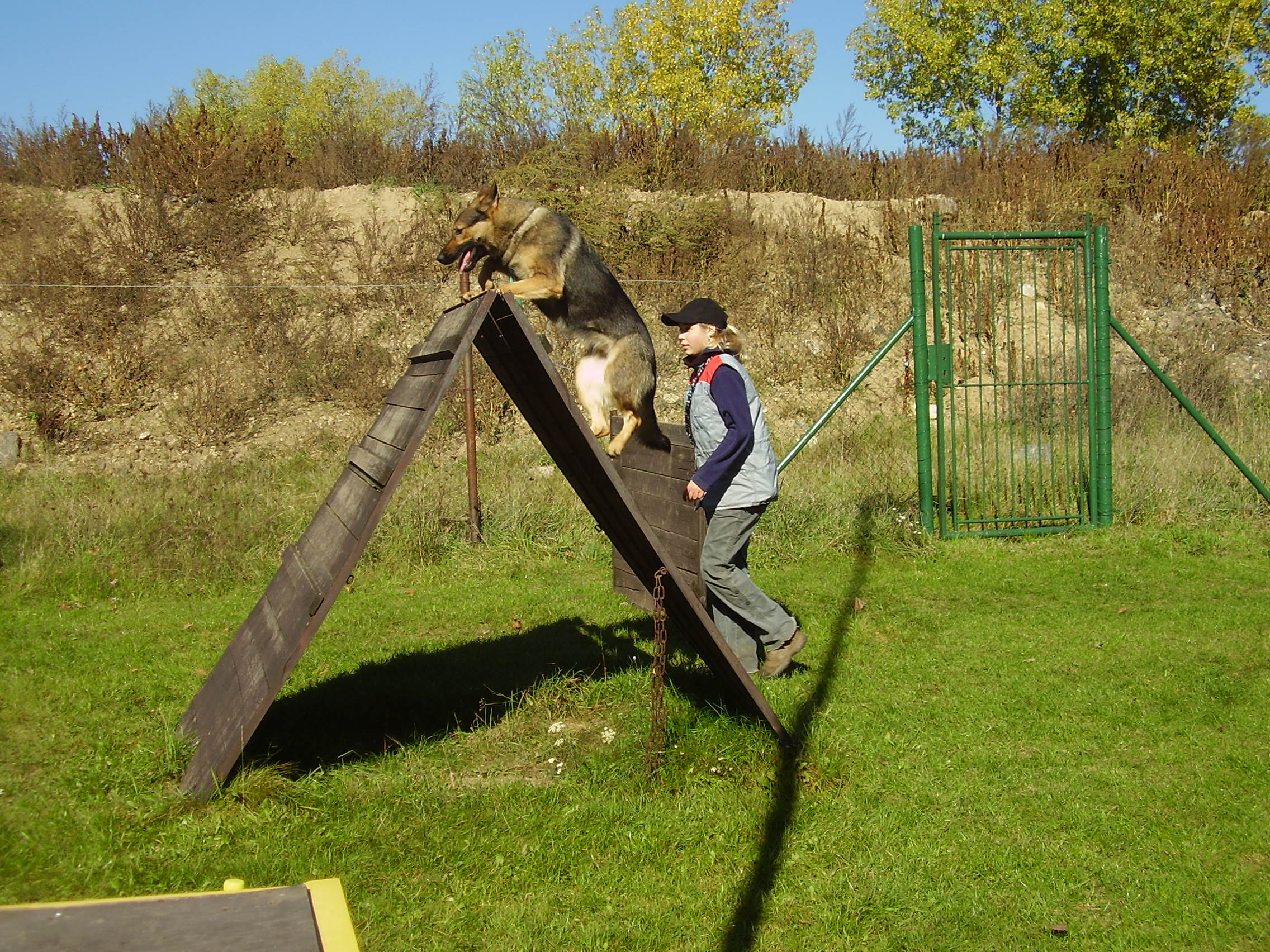PA140017.JPG.1