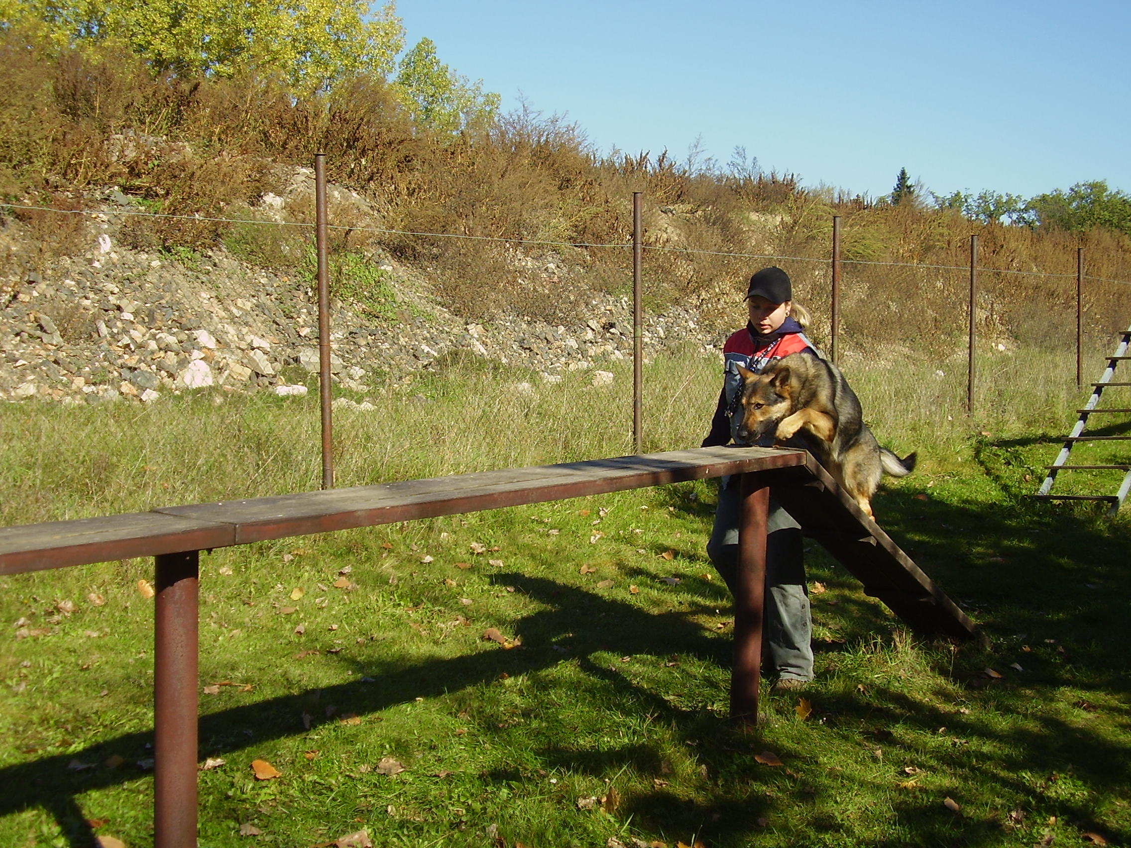 PA140022.JPG